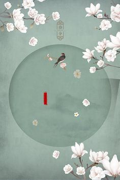 芒果视频网页版
